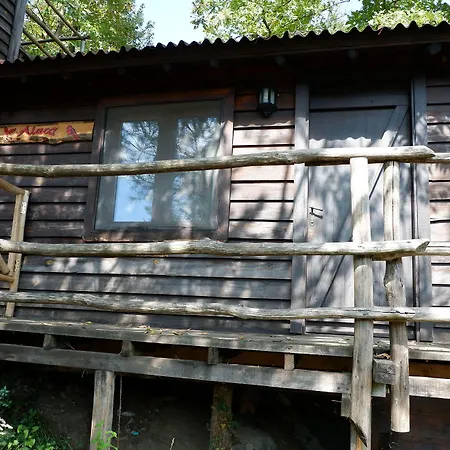 Kulindag Dag Evi * İstanbul